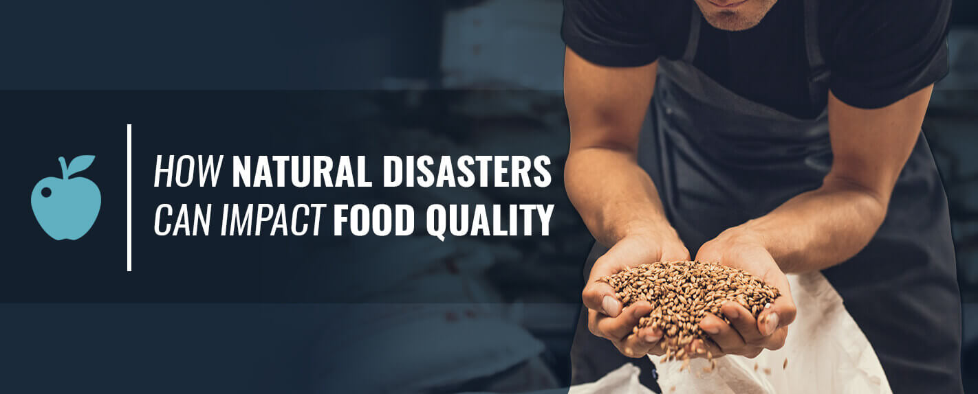 Natural Disasters Impact on Food Production