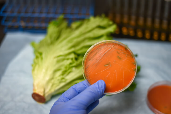 identifying listeria in food