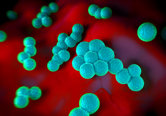 Probiotic Solutions For Staphylococcus aureus & Remediation